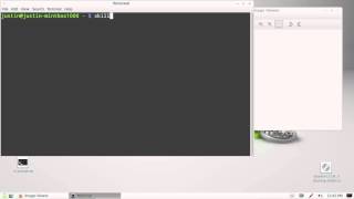exit a non responsive program in Linux Mint 13