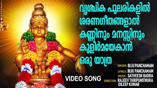 വൃശ്ചിക പുലരികളിൽ ശരണഗീതങ്ങളാൽ കണ്ണിനും മനസ്സിനും കുളിർമയേകാൻ ഒരു യാത്ര|AYYAPPAN YATHRA | SHORT FILM