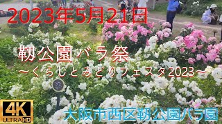 靱公園バラ祭 〜くらしとみどりフェスタ2023〜 大阪市西区靭公園バラ園 4K