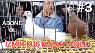 İzmir Kuş Pazarı Açıldı #3 (12.01.2025). #pigeontime  #güvercin #kuş #kuşpazarı #pigeon #saya