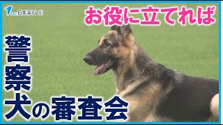 【嘱託警察犬の審査会】「少しでも社会貢献というかお役に立てれば」　警察犬の数が減少し確保に課題も　鳥取県鳥取市