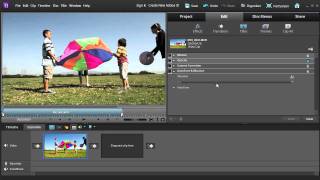 Premiere Elements 10: Get Perfect Color Throughout Your Movie