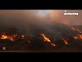 los angles 🔥 structure burn as palisades fire explodes to 1 300 acres @hamzivlogz