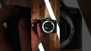 ASMR Canon R8 electronic shutter #shorts #shutter #filmowanie #canon #canonr8