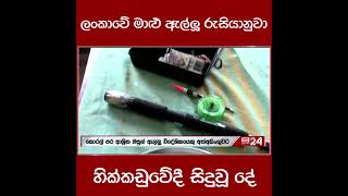 ලංකාවේ මාළු ඇල්ලූ රුසියානුවා... හික්කඩුවේදී සිදුවූ දේ #adaderana #tvderana #fblive