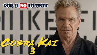 Por si no lo viste: Cobra Kai (Temporada 3)