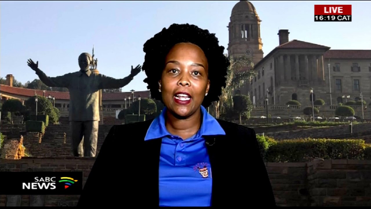 Pansalb S Languages Report Dr Sally Maepa Youtube