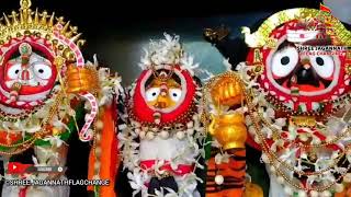 BAMANA BHESHA OF LORD JAGANNATHA