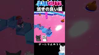 ピッタリ止めるとご褒美画像！活きの良い猫編【Fall Guys/フォールガイズ】 #Shorts