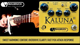 Vahlbruch KALUNA II: High Voltage Tube Drive