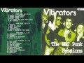 The Vibrators - Baby Baby (BBC Punk Sessions Version)