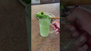 Refreshing Mint Drink