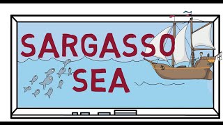 Fun Facts: What is so special about the Sargasso Sea? | World Geography #geography