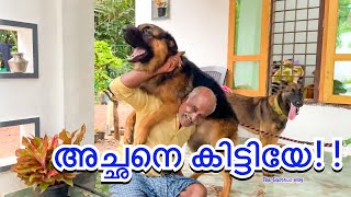 ലിയോയെ കൊണ്ട് പോകാതെ അച്ഛൻ ആറ്റിൽ പോയി 😕| LeoLaika |chottuz