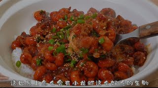 「小龙虾拌饭」30秒教会你。 夏天一到，小龙虾就要遭殃了，大家都超爱吃它！