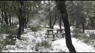 Kabylie première chut de neige 2023 magnifique