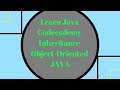 Codecademy Learn Java, Inheritance,Object Oriented Java 2018