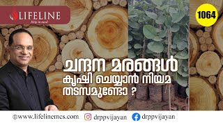 സുഗന്ധത്തിൽ മാത്രമല്ല ലാഭം കൊയ്യാനും ഇത് മികച്ച മാർഗം | About Sandle Wood