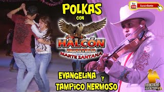 Polkas con Halcon Huasteco de Marte Santana