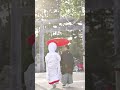 白山比咩神社 参進の儀🍀 金沢挙式サポート＃金沢花嫁 金沢挙式サポート セルフウエディングプロデュース 和モダンウェディング 加賀花嫁 かなざわ 金沢和婚 花嫁様コーディネート