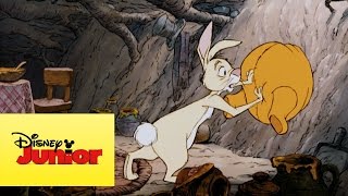 Mini aventuras de Winnie the Pooh - Atrapado en casa de Conejo