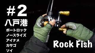 #2 八戸港 ボートロックフィッシュ