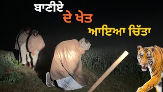 ਖੇਤਾ ch ਆ ਗਿਆ ਸ਼ੇਰ🐅ਬਾਣੀਏ ਦਾ ਹੋਇਆ ਬੁਰਾ ਹਾਲ latest vdo 2025