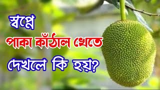 স্বপ্নে পাকা কাঁঠাল খেতে দেখলে কি হয় sopne paka kathal dekhle ki hoy