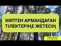 Жақында аңсаған армандарың орындалатын күн келеді 3 76 16 31