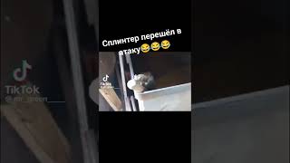 😂😂🤣Подпишитесь пожалуйста 😊😊