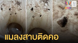 สาวผงะสั่งโกโก้ร้อนเจอแมลงสาบติดคอ หวิดอ้วกแทบพุ่ง | ข่าวเที่ยงอมรินทร์ | 23 พ.ค.65