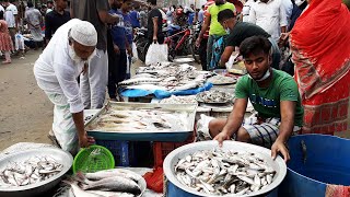 BIGGEST MERADIA BAZAR FISH MARKET | Meradia Hat, Dhaka, Bangladesh