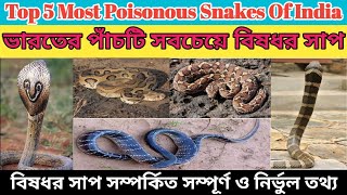 ভারতের পাঁচটি সবচেয়ে বিষধর ও ভয়ঙ্কর সাপ || Top 5 Most Poisonous \u0026 Dangerous Snakes Of India  Bengali