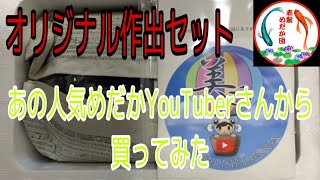 ［赤髪めだか団］ オリジナル作出セット　あの人気めだかYouTuberさんから買ってみた