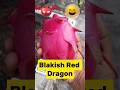 Blakish Red Dragon #shorts #shortsfeed #trending #trendingshorts #viral #viralshorts #foryou