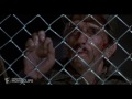 red dawn 2 9 movie clip avenge me 1984 hd