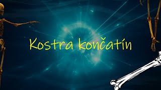 Biológia 7. ročník _ Kostra končatín