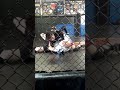 taylor pankration sparring