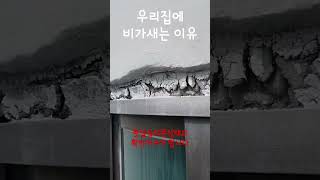 비올때마다 창문에 비가새는 이유