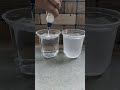 FEVICOL VS COLD WATER AND NORMAL WATER || FEVICOL EXPERIMENT |#shorts #crzy_xyz #experiment #trading