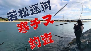 若松運河へ寒チヌ調査#fishing #チヌ #北九州