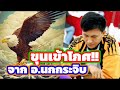 🔥รวม 5 ช็อตเด็ดสุดยอดเซียน🔥 ep.3 🦅จาก อ.สุดยอดเซียนนกกระจิบ🦅 แชมป์ประเทศไทย 2566🇹🇭