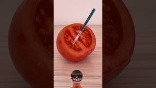 Real ✅ oue Fake ❌ Tomato paregncy test #shorts