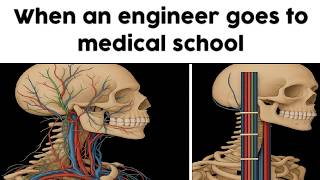 Science Memes