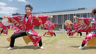 2024.7.7　鳳翔乱舞 1回目 鳳凰来儀　出張よさGIG アクアイグニス仙台