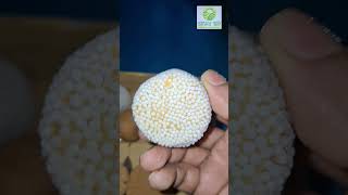 সন্দেশ কম্বো প্যাকেজ স্বাদে অতুলনীয় #viralvideo #2025 #sweet #food