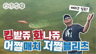 배스 산란 1 - 알자리 공략법