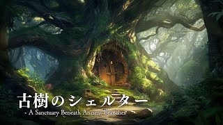 【幻想楽譜/Fantasy Sounds】 古樹のシェルター - A Sanctuary Beneath Ancient Branches【睡眠/勉強/作業用BGM】【1hour】