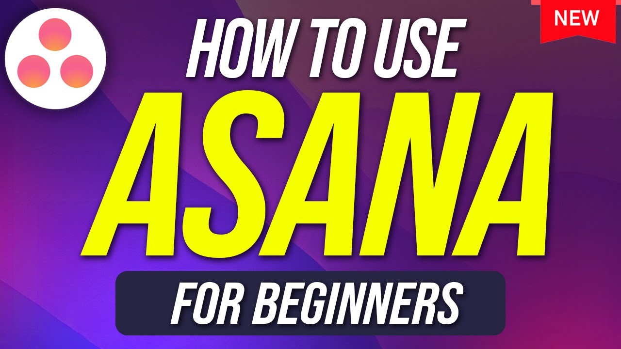 How To Use Asana For Beginners Youtube