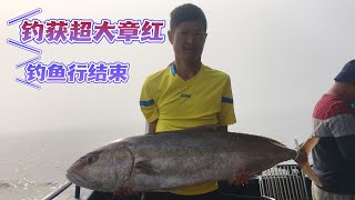 爆钓大章红，金枪鱼！南海6日4晚钓鱼行完美结束，收获满满。#釣魚 #海鲜 #渔民捕鱼